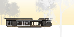 Modern cabin